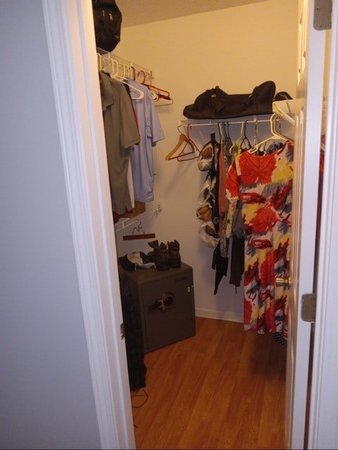 walk in closet with hardwood / wood-style flooring