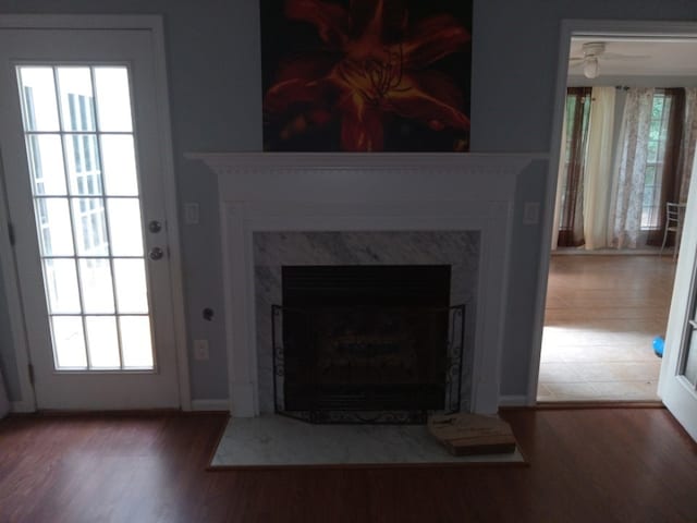 interior details featuring a premium fireplace, ceiling fan, and wood-type flooring