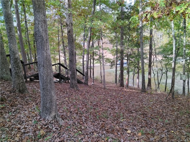 view of local wilderness