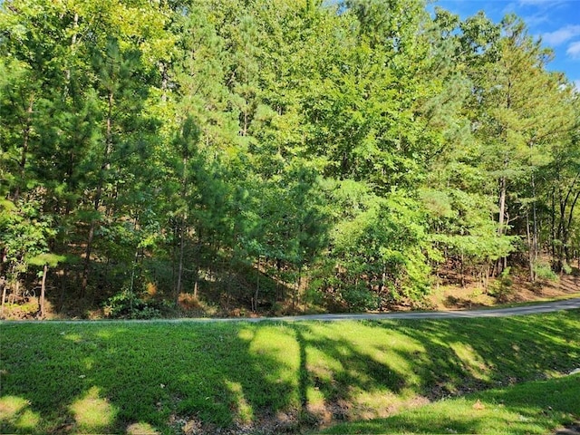 LOT24HERITAGESHORES Dyar Way, Fair Play, SC 29643 - photo 1