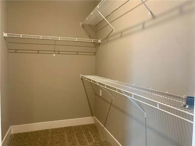 spacious closet with carpet floors