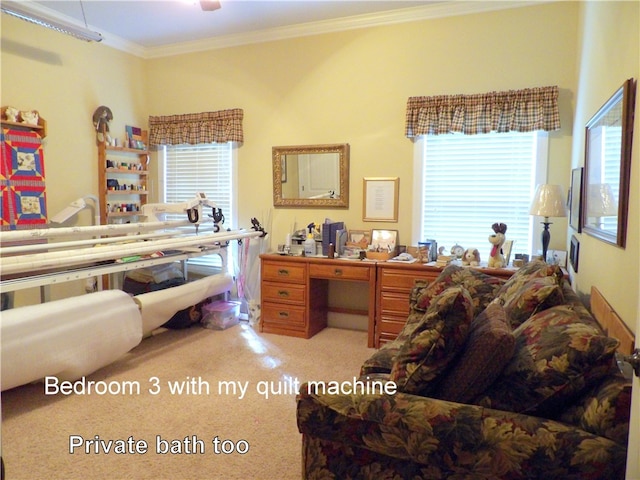 carpeted bedroom featuring crown molding