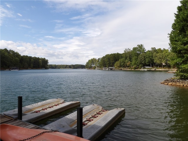 dock area with a water view