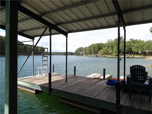 dock area with a water view