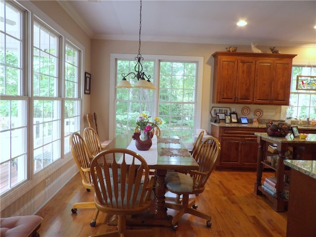 dining area featuring wood-type flooring, crown molding, and a wealth of natural light