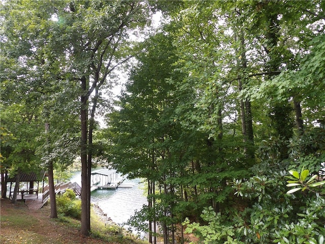 water view featuring a boat dock