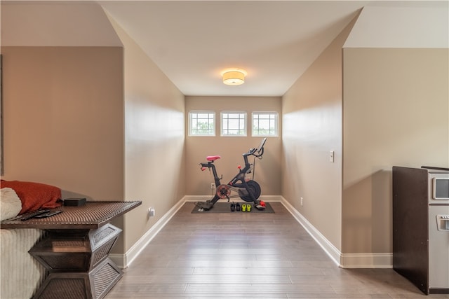 workout room featuring hardwood / wood-style flooring