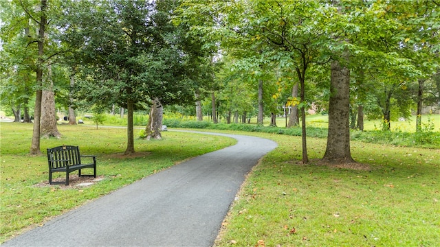 view of home's community featuring a yard