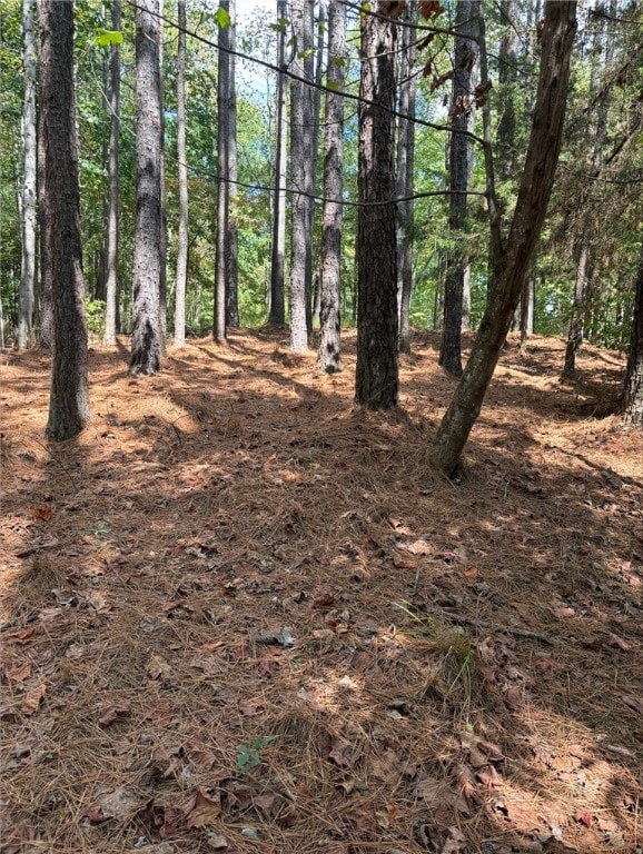 420 S Point Blvd, Sunset, SC 29685