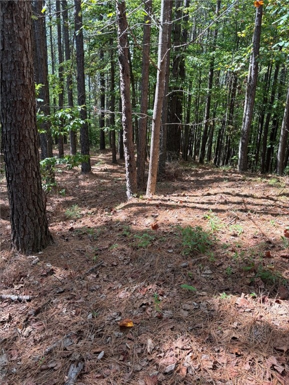 420 S Point Blvd, Sunset, SC 29685