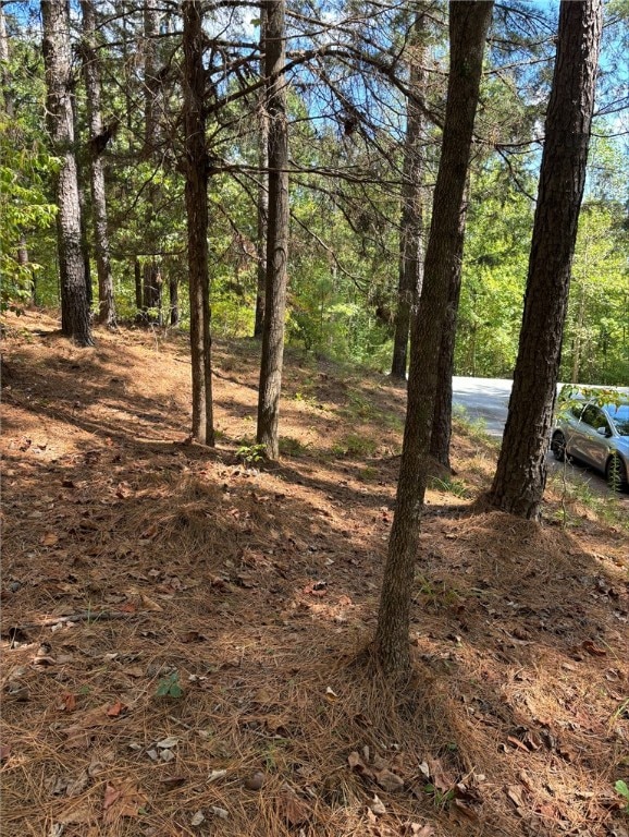 420 S Point Blvd, Sunset, SC 29685