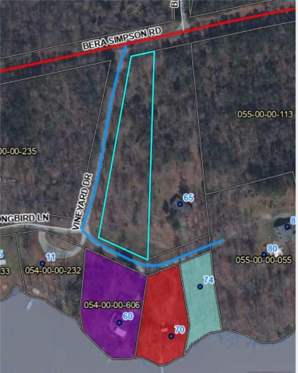 0 Vineyard Dr, Abbeville, SC 29620 - photo 2