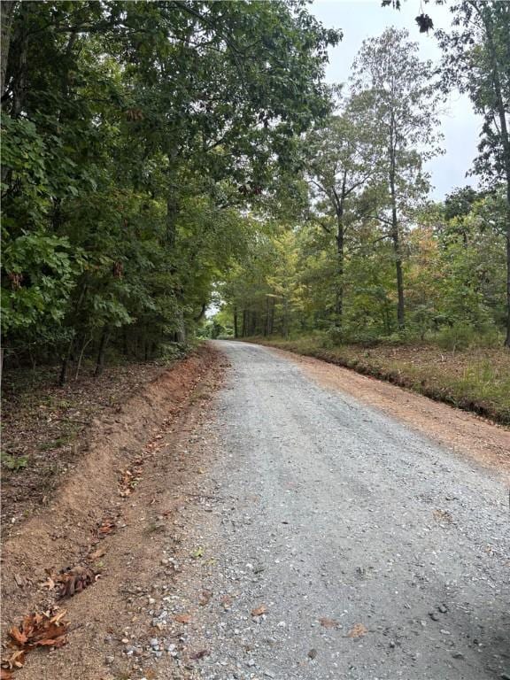 0 Vineyard Dr, Abbeville, SC 29620 - photo 3
