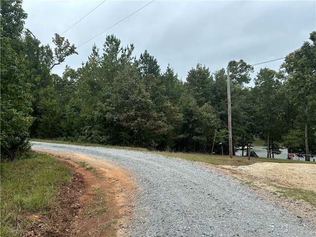 0 Vineyard Dr, Abbeville, SC 29620 - photo 4