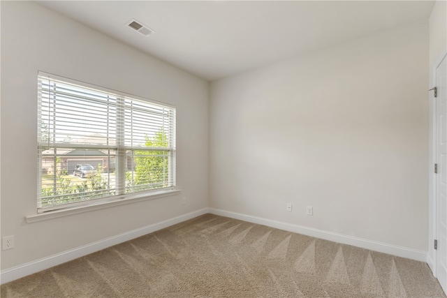 carpeted spare room featuring a wealth of natural light