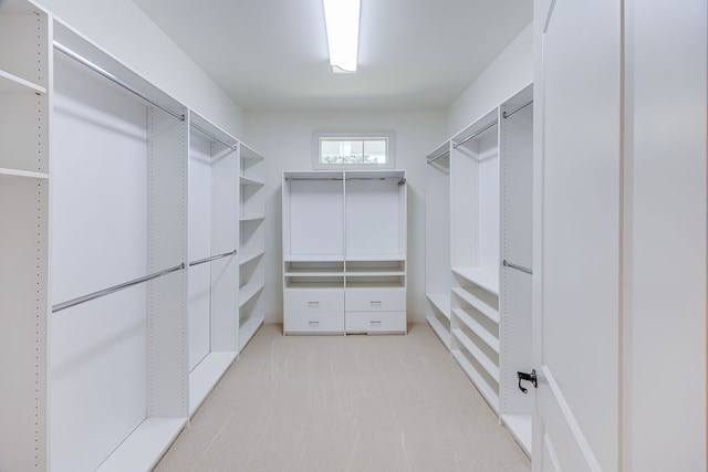 spacious closet featuring light carpet