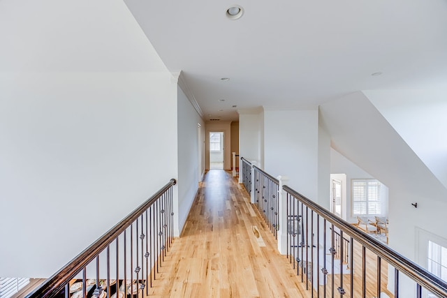 corridor with crown molding, light hardwood / wood-style flooring, and plenty of natural light