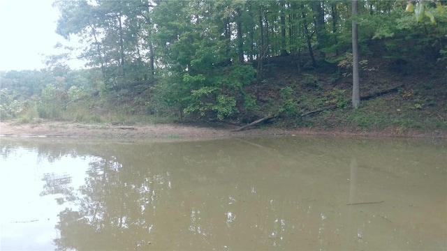 157 Deerwood Dr, Westminster, SC 29693 - view of water feature