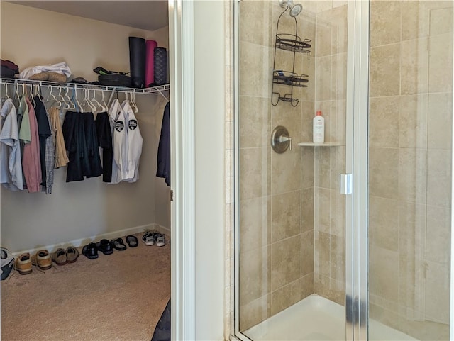 bathroom featuring a shower with door