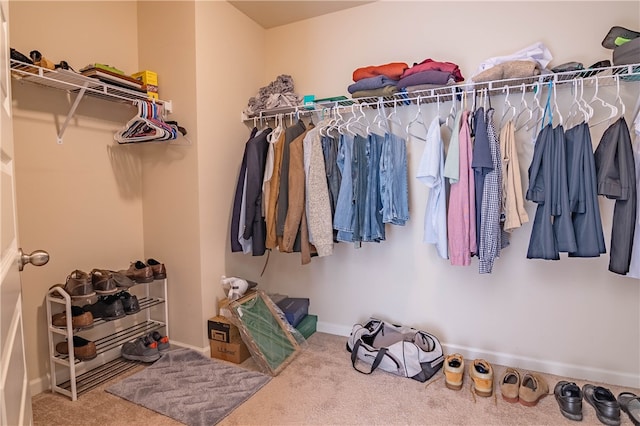 walk in closet featuring carpet flooring