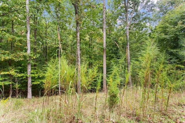 00 Parnassus Dr, Westminster, SC 29693 - photo 3