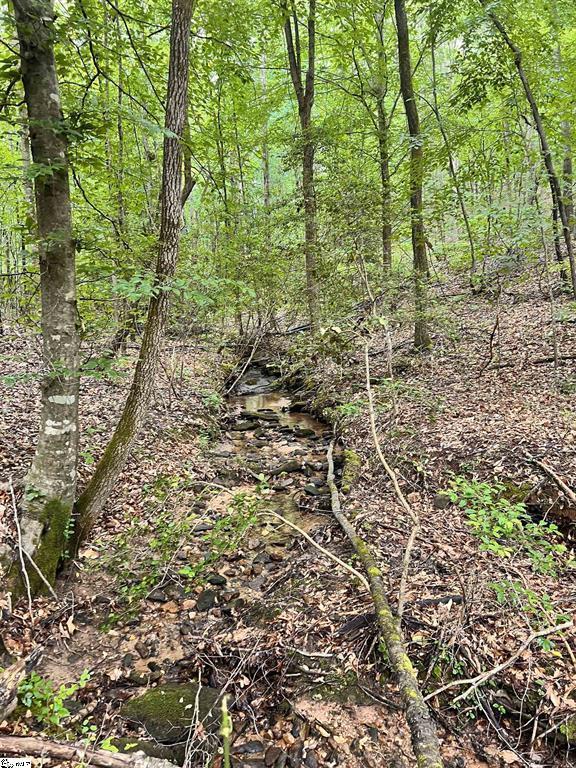 1299 Singleton Rd, Westminster, SC 29693 - photo 3