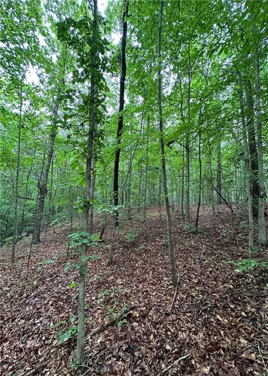 1299 Singleton Rd, Westminster, SC 29693 - photo 4