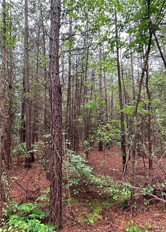 1299 Singleton Rd, Westminster, SC 29693 - photo 6
