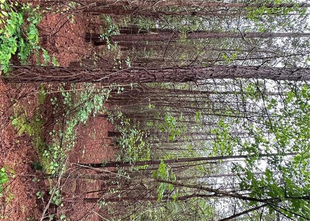 1299 Singleton Rd, Westminster, SC 29693 - photo 13