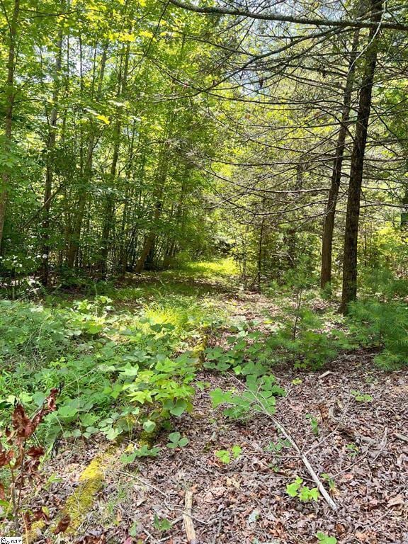 1299 Singleton Rd, Westminster, SC 29693 - photo 1