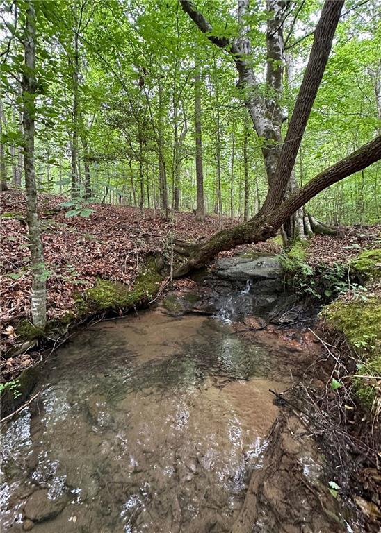 1299 Singleton Rd, Westminster, SC 29693 - photo 2