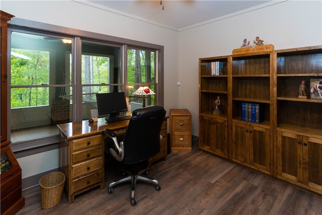 office space with plenty of natural light and dark hardwood / wood-style flooring