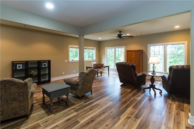 living room with ceiling fan, plenty of natural light, and dark wood-type flooring