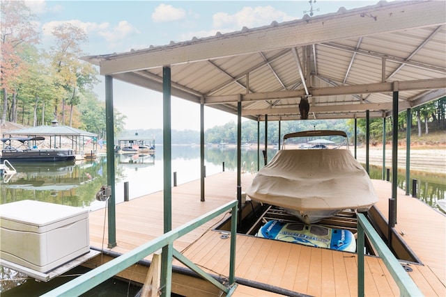 dock area with a water view