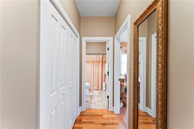 516 Serria Way, Seneca, SC 29678 - corridor with light wood-type flooring