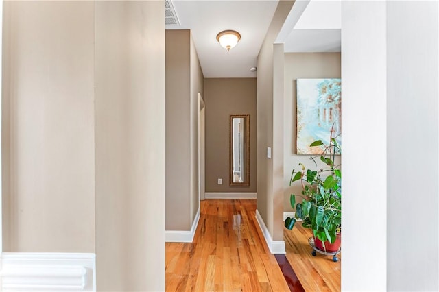 516 Serria Way, Seneca, SC 29678 - corridor with light wood-style floors and baseboards
