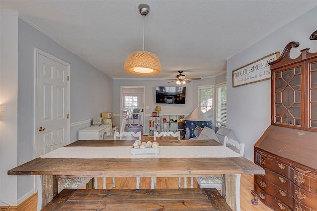 dining space with wood-type flooring, ornamental molding, ceiling fan, and a wealth of natural light