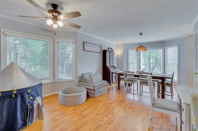 interior space featuring ceiling fan, hardwood / wood-style flooring, and ornamental molding