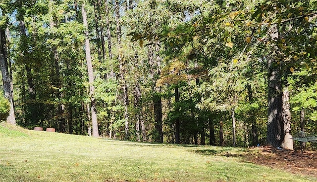 view of local wilderness