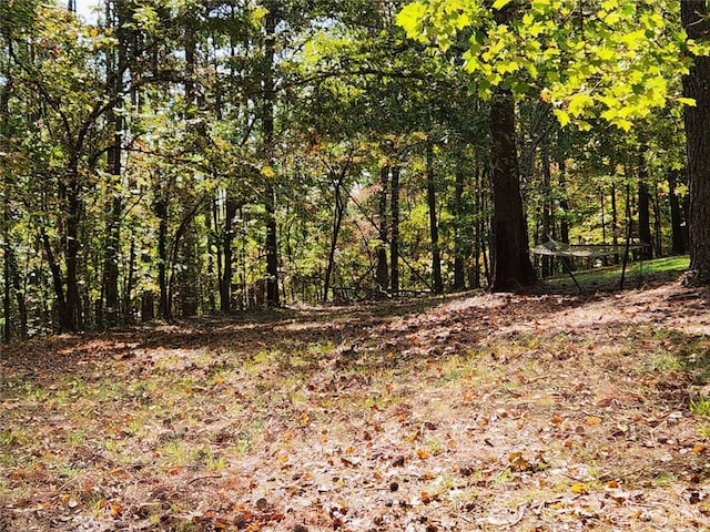 view of local wilderness