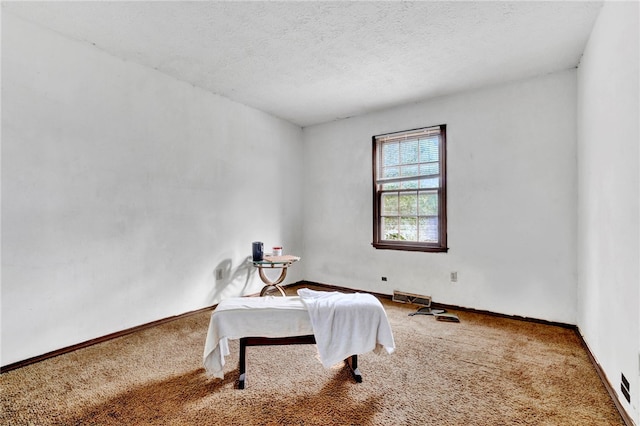 living area with carpet flooring and a textured ceiling