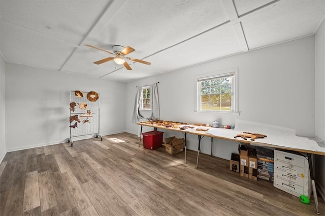 misc room with ceiling fan and hardwood / wood-style floors