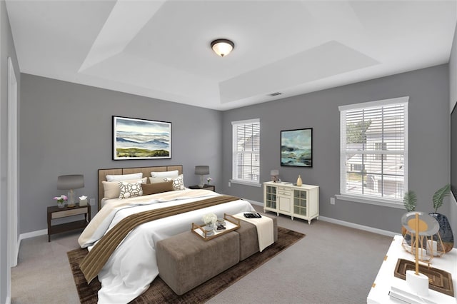 bedroom featuring a tray ceiling, carpet, and multiple windows