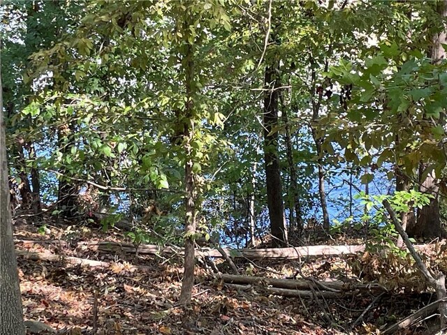 88 Ideal Pt, Abbeville SC, 29620 land for sale