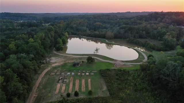 aerial view at dusk featuring a water view