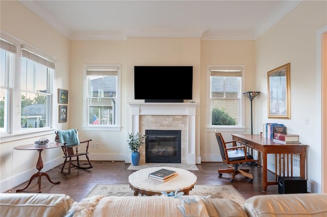 living room featuring crown molding, a wealth of natural light, and a fireplace