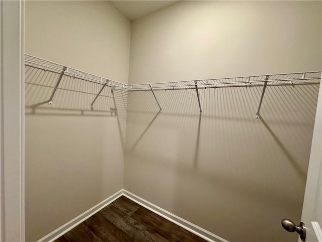 spacious closet featuring wood-type flooring