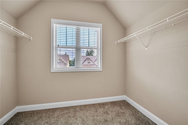 walk in closet featuring vaulted ceiling and carpet flooring