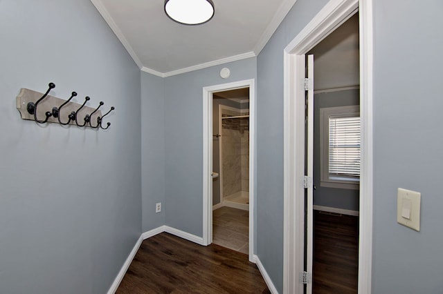 hallway with crown molding and dark hardwood / wood-style floors