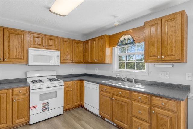 kitchen featuring light hardwood / wood-style flooring, white appliances, and sink